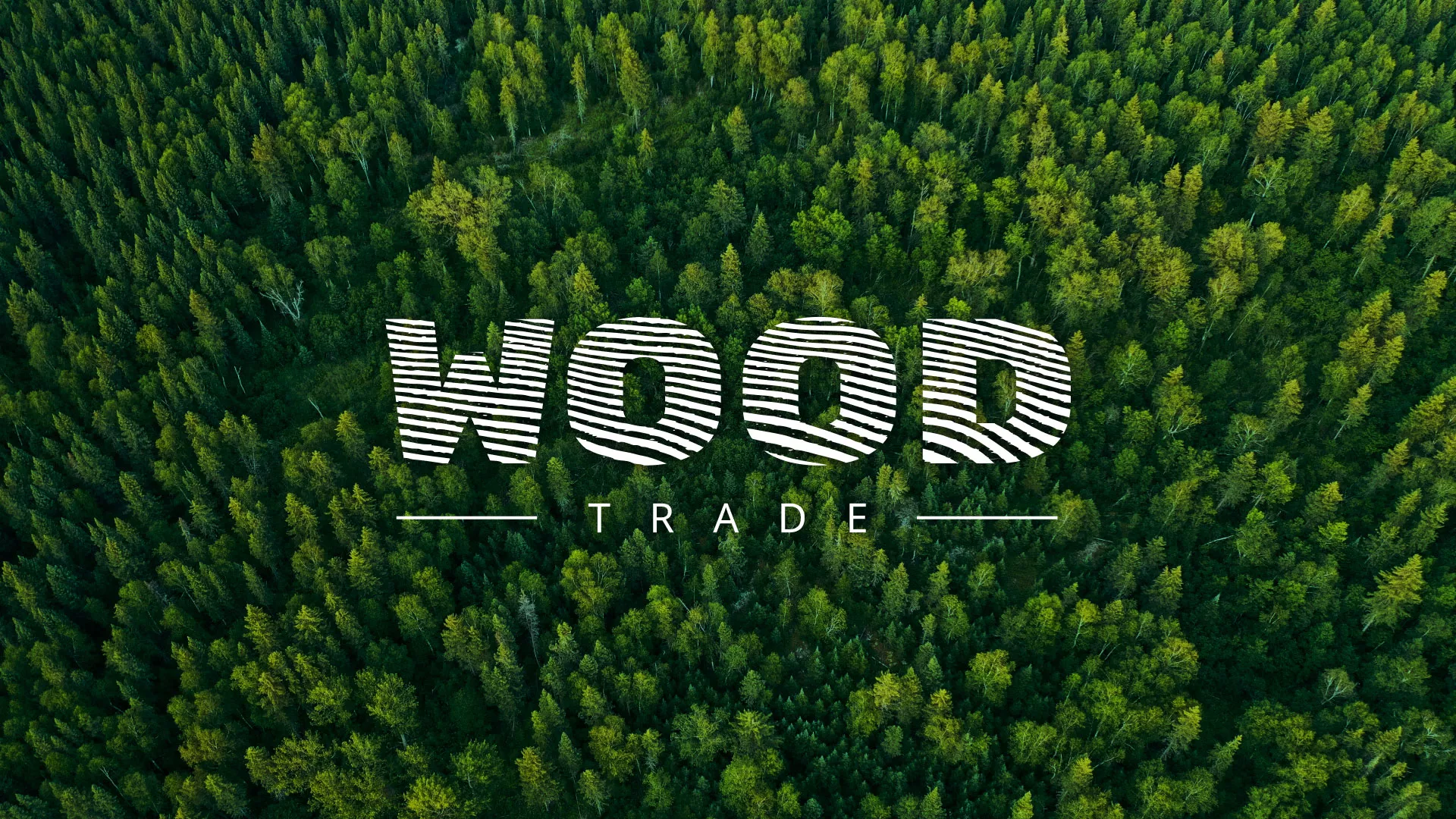Разработка интернет-магазина компании «Wood Trade» в Кызыле