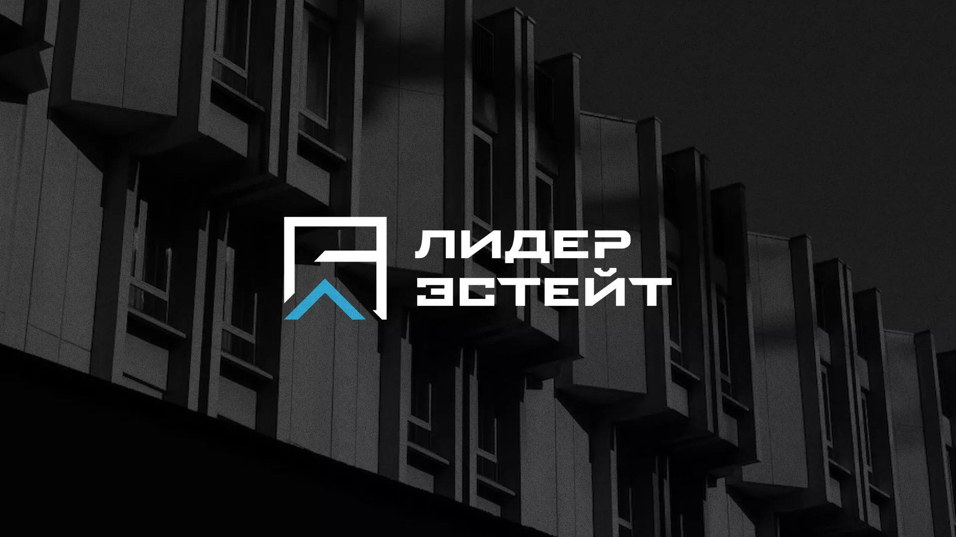 Разработка логотипа агентства недвижимости «Лидер Эстейт» в Кызыле
