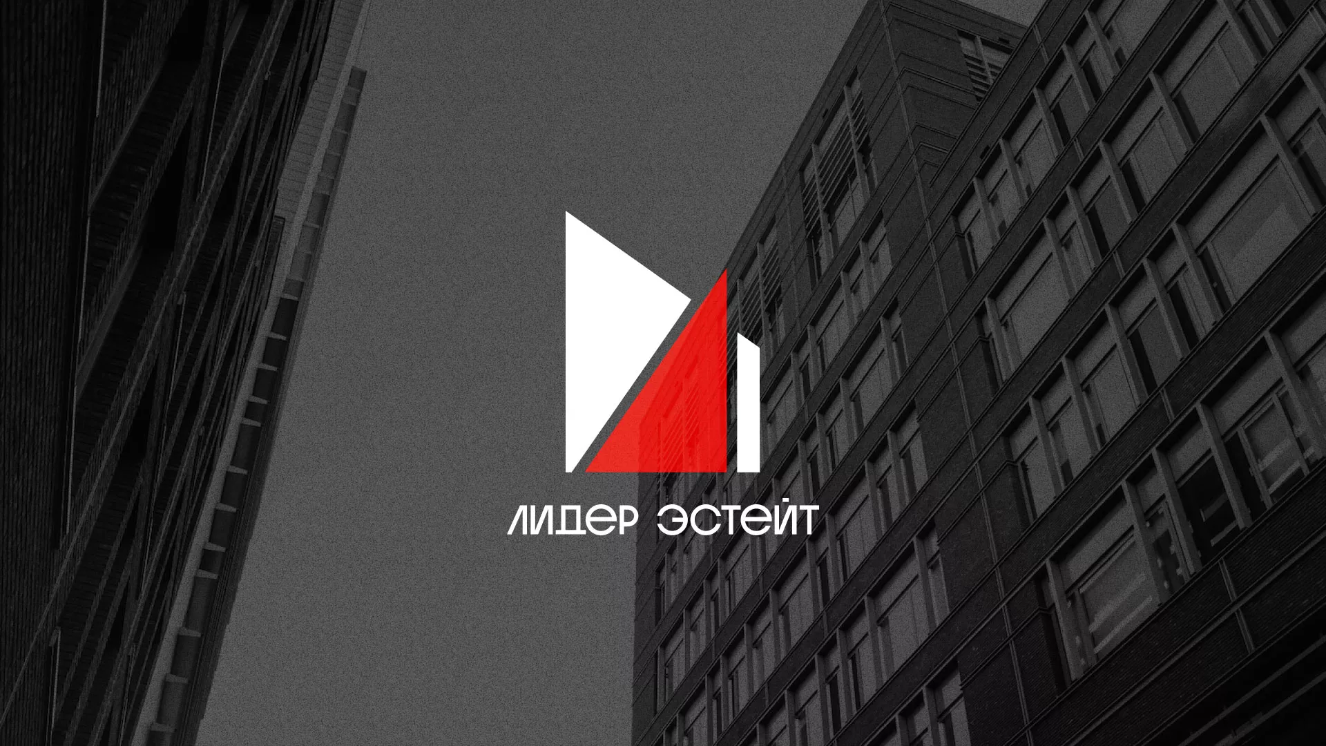 Сделали логотип для агентства недвижимости «Лидер Эстейт» в Кызыле